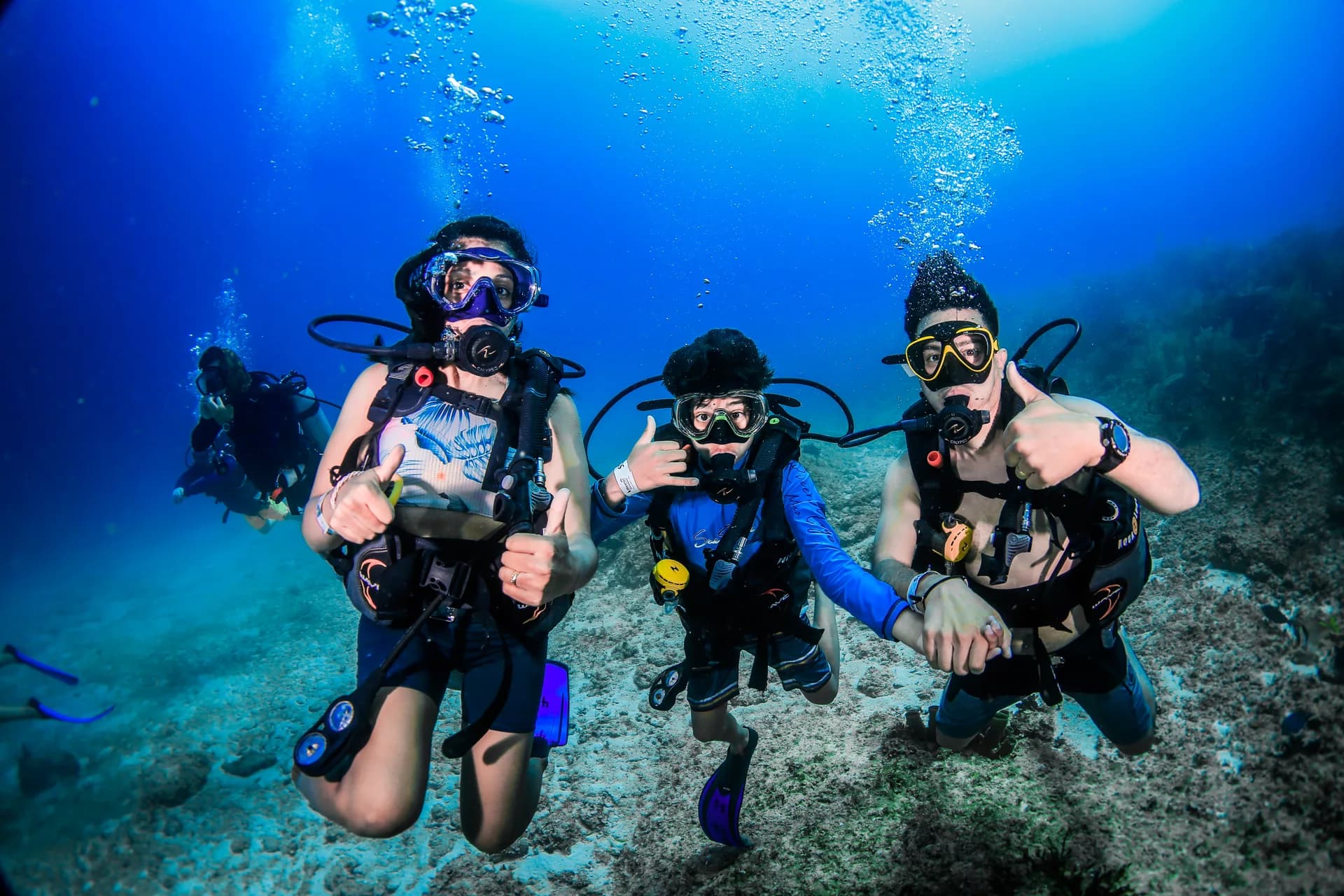 Dive Center Mexiko: Alles rund ums Tauchen in Playa del Carmen