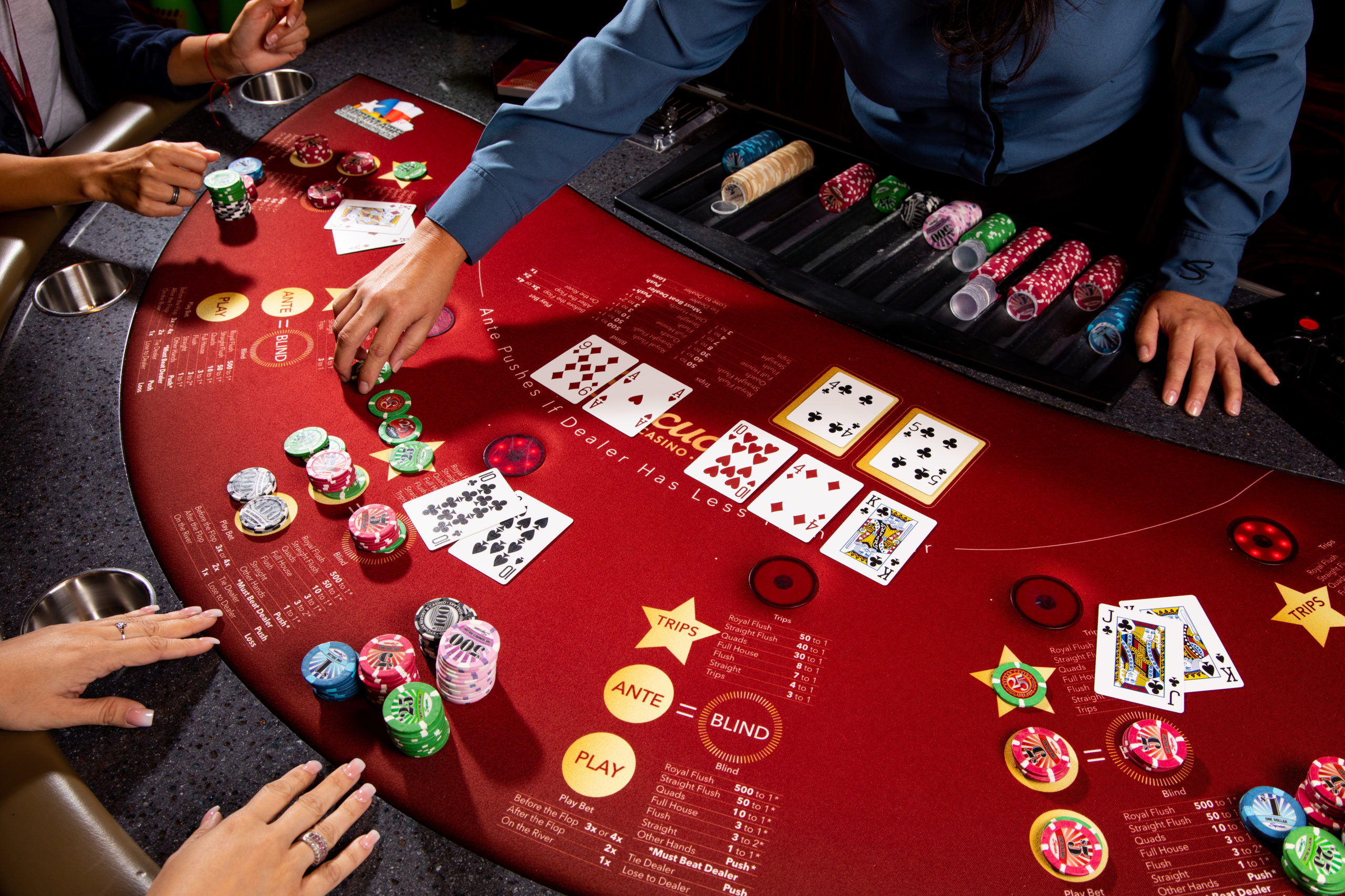 Modernizing the Spielerlebnis: Why Online Casino Software Matters