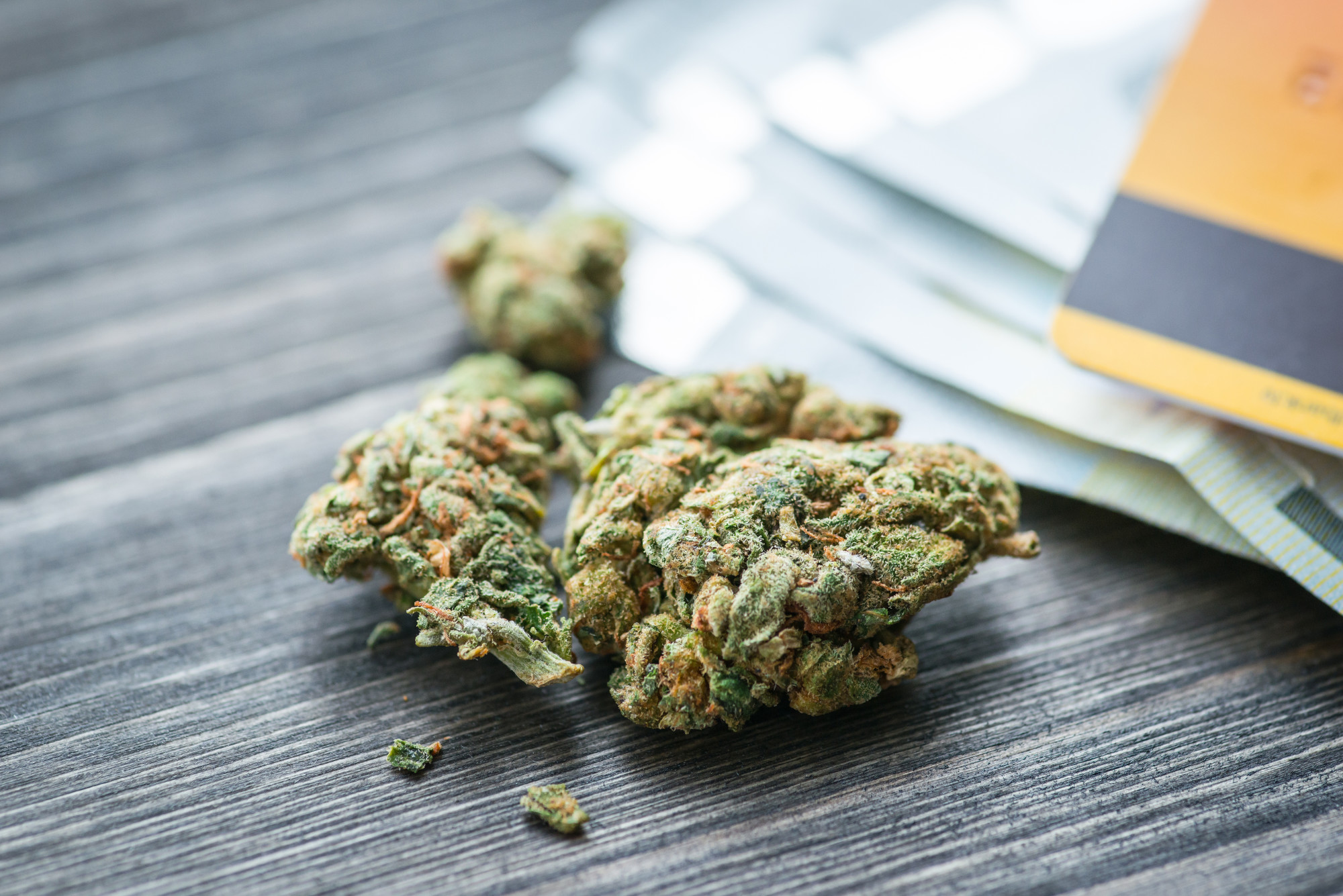 Die besten feminisierten Weed-Sorten bei Cannapot